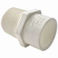 Charlotte Pipe And Foundry 114 Slipx1MIP Adapter PVC 02110  0900HA